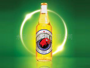 中外合資永定金德啤酒有限公司