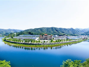 安徽迎駕貢酒股份有限公司