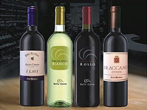 安徽艾蓓特商貿(mào)有限公司