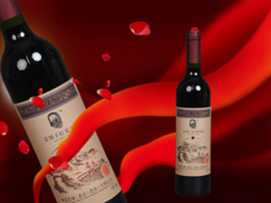 華夏長城(北京)進(jìn)出口有限公司