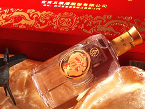 北京五龍盛世營銷有限公司