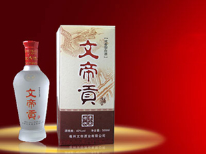 安徽亳州文帝酒業(yè)有限公司