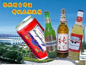 百威明生啤酒集團(tuán)(中國)有限公司