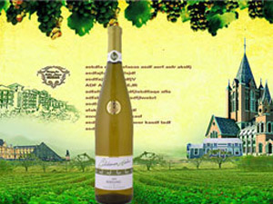 廈門百世利貿(mào)易有限公司