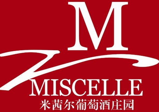 麗水市米茜爾投資咨詢有限公司