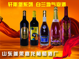 江蘇寧龍酒業(yè)有限公司