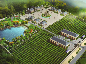 山東軒氏葡萄酒釀造有限公司