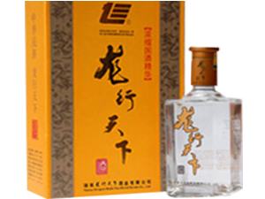 湖南龍行天下酒業(yè)有限公司