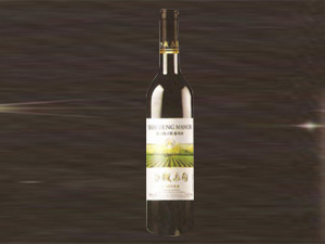 沙城傳奇葡萄酒業(yè)