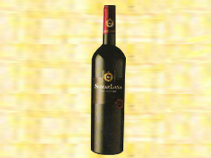 昌黎金海葡萄酒業(yè)有限公司