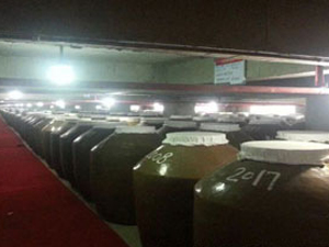 全國(guó)鎮(zhèn)客洞藏老酒品牌運(yùn)營(yíng)中心