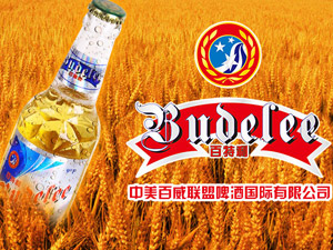 百威啤酒國際有限公司