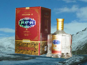 西藏拉薩情科技開發(fā)有限公司