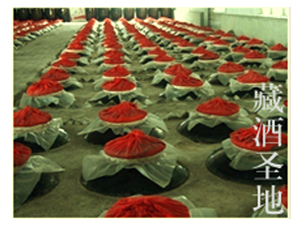 安徽楚井坊酒業(yè)有限公司