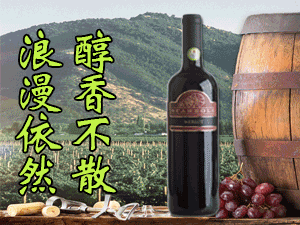 浙江駿鴻貿(mào)易有限公司