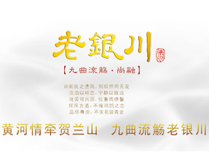 寧夏昊王酒業(yè)有限公司
