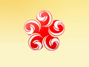 安徽黃梅有限公司