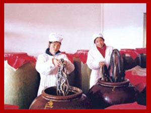 永州市異蛇科技實業(yè)有限公司