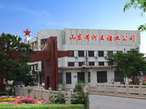 山東黃河王酒業(yè)有限公司