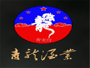 貴州仁懷市青龍酒業(yè)有限公司