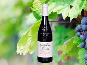 廈門市晨婧貿(mào)易有限公司