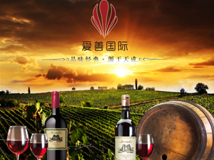 深圳前海愛(ài)善國(guó)際貿(mào)易有限公司