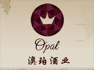 廣州澳珀貿(mào)易有限公司