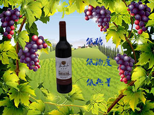 河南威豪葡萄酒有限公司