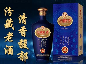 領(lǐng)航商貿(mào)有限公司