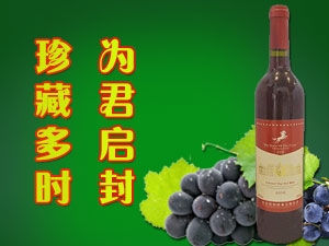 山東濱海酒業(yè)有限公司