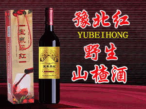 新鄉(xiāng)市山里紅食品有限公司