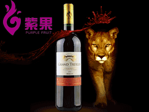 上海紫果商貿(mào)有限公司