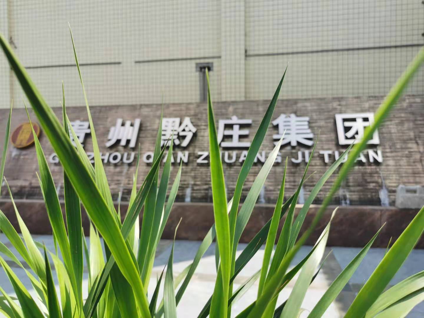 貴州黔莊酒業(yè)集團(tuán)有限公司