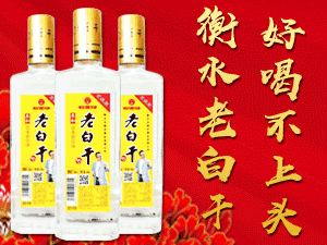 衡水老窖坊酒業(yè)有限公司