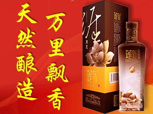 廣東蓮泉酒業(yè)有限公司