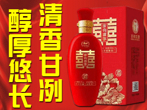 衡水故城縣董子窖釀酒廠