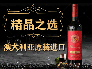 森脈(深圳)國(guó)際貿(mào)易有限公司