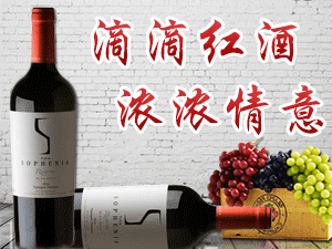 湖北屈姑國(guó)際農(nóng)業(yè)集團(tuán)索萊斯酒業(yè)有限責(zé)任公司