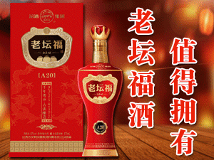 汾酒集團(tuán)杏鄉(xiāng)老白貢酒(山西雁門清高飲品)