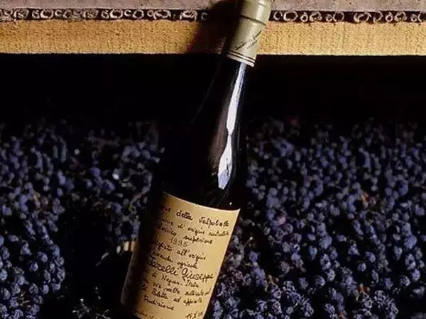 ���d.webp (3).jpg