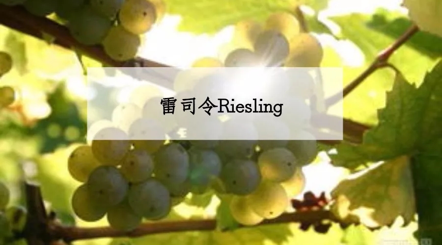 ���d.webp (2).jpg