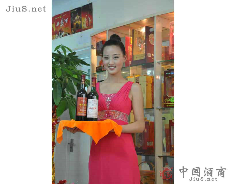 �x���S�����x���S������