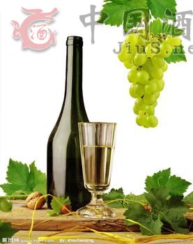 �M�ڼt�����M��ơ�������