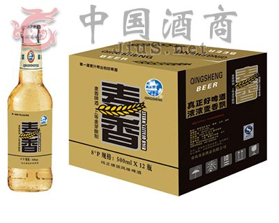 500��������������