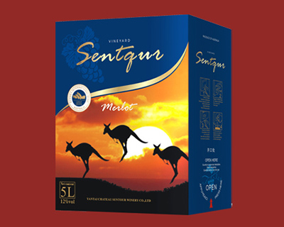 ʥ�D�Ʊ�5L������-