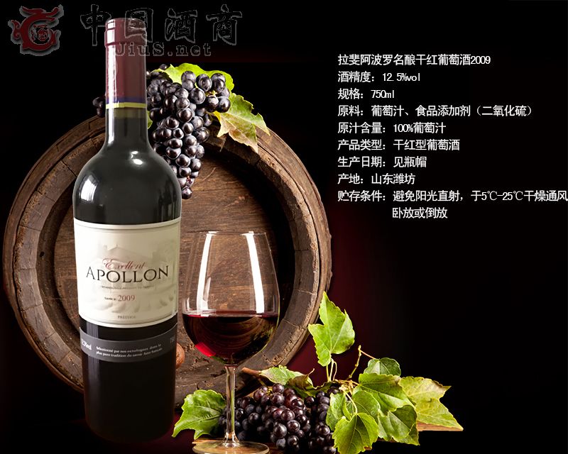 ���-�����_��ᄸɼt���Ѿ�2009